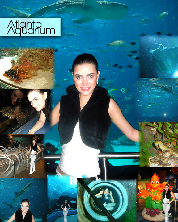 Rayanne Personal Branding 20